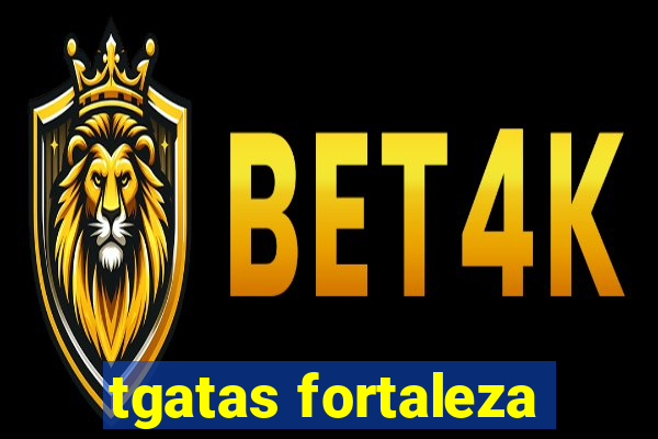 tgatas fortaleza