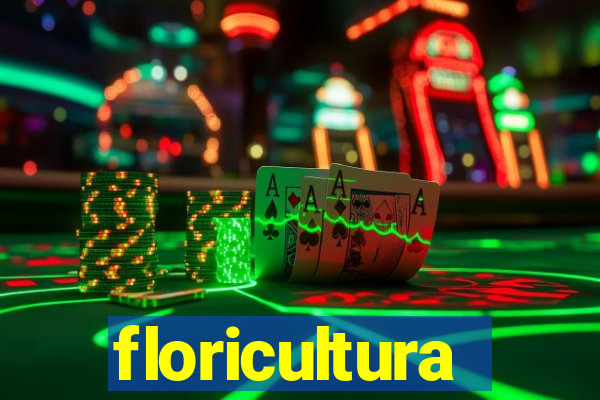 floricultura juazeiro bahia