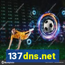 137dns.net