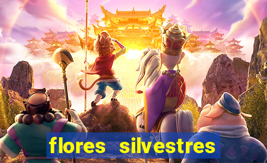 flores silvestres desbravadores desbravadores 25