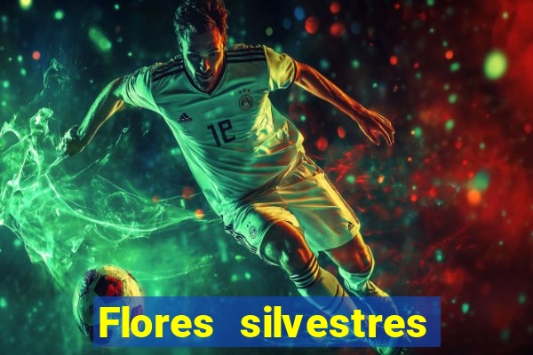 Flores silvestres brasileiras brasileiras flores silvestres nomes e imagens