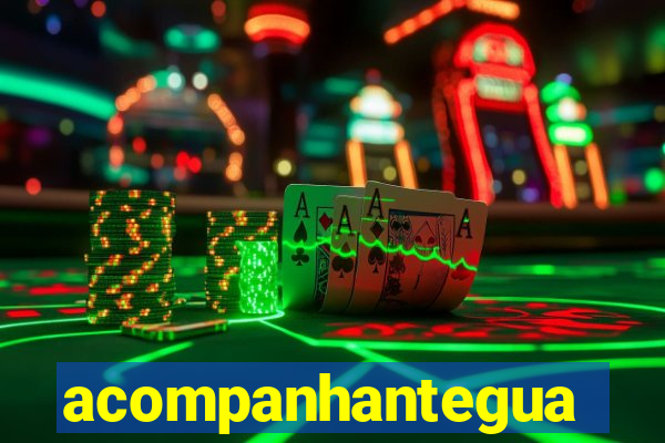 acompanhanteguanambi