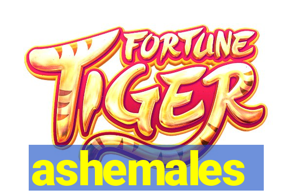 ashemales
