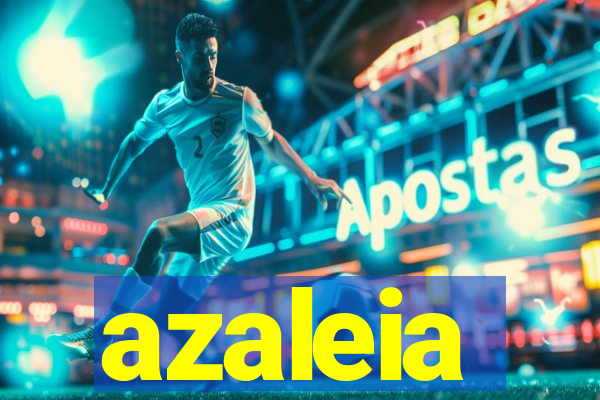 azaleia-br.com