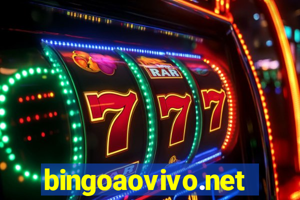 bingoaovivo.net
