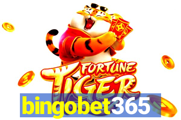 bingobet365