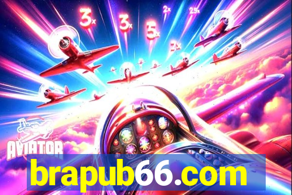 brapub66.com