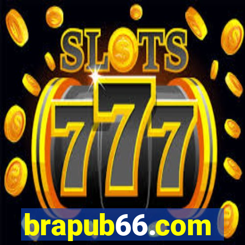 brapub66.com