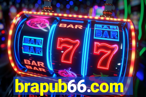 brapub66.com