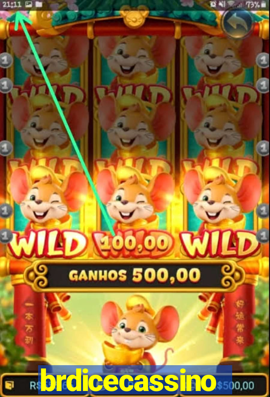 brdicecassino