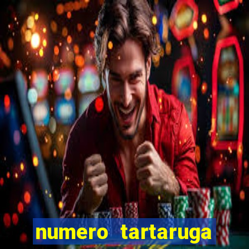 numero tartaruga jogo do bicho