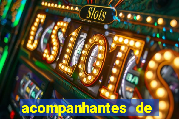 acompanhantes de luxo porto feliz