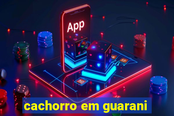 cachorro em guarani