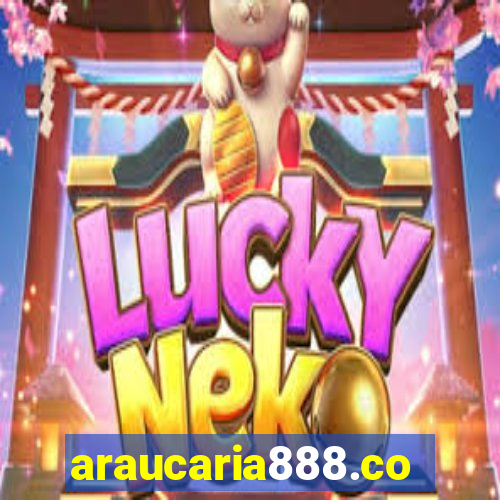 araucaria888.com