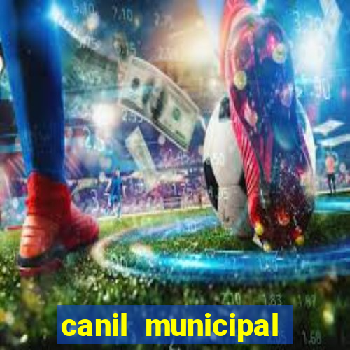 canil municipal porto alegre