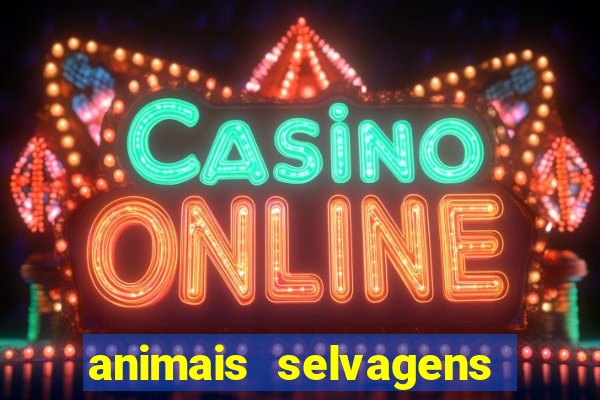 animais selvagens fotos e nomes