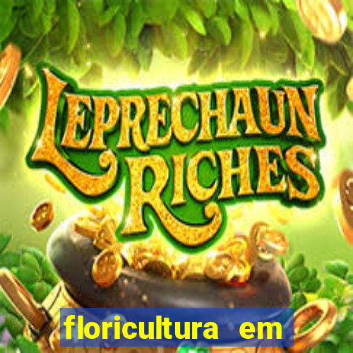floricultura em franca sp