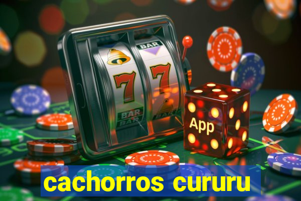 cachorros cururu