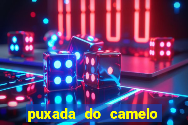 puxada do camelo jogo do bicho