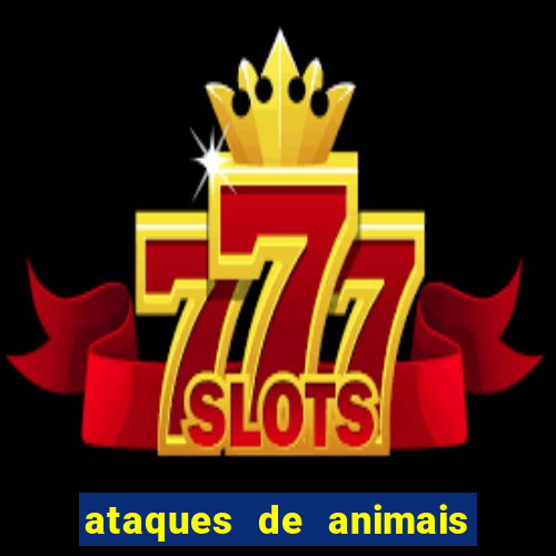 ataques de animais selvagens a humanos fatais