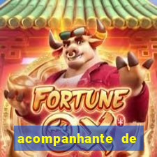 acompanhante de luxo jequié
