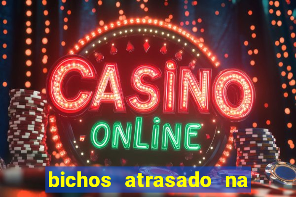 bichos atrasado na loteria dos sonhos