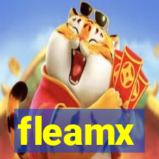 fleamx
