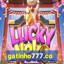 gatinho777.co
