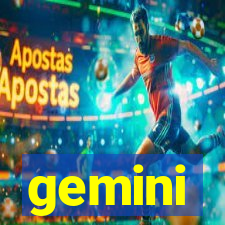 gemini-pp.com