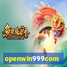 openwin999com