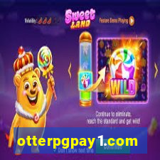 otterpgpay1.com
