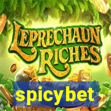 spicybet-3.com