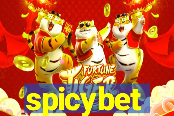 spicybet-4.com