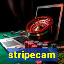 stripecam
