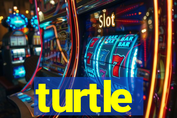 turtle-ty.com