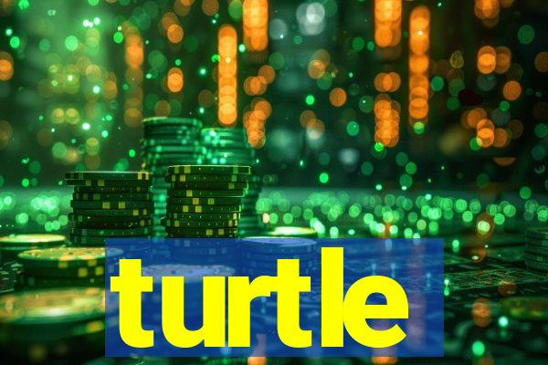 turtle-ty.com