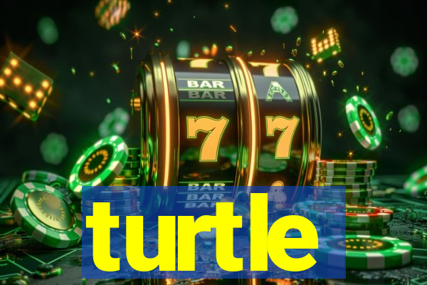 turtle-ty.com