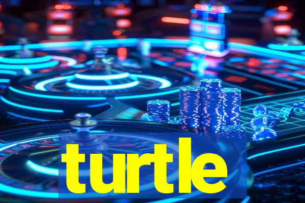 turtle-ty.com