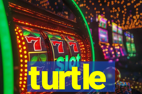 turtle-ty.com