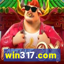 win317.com