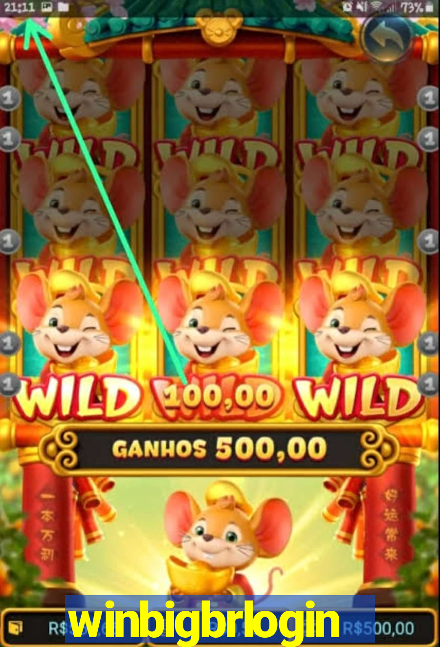 winbigbrlogin
