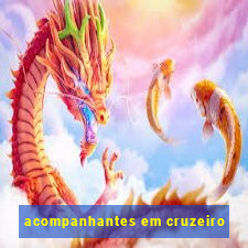 acompanhantes em cruzeiro