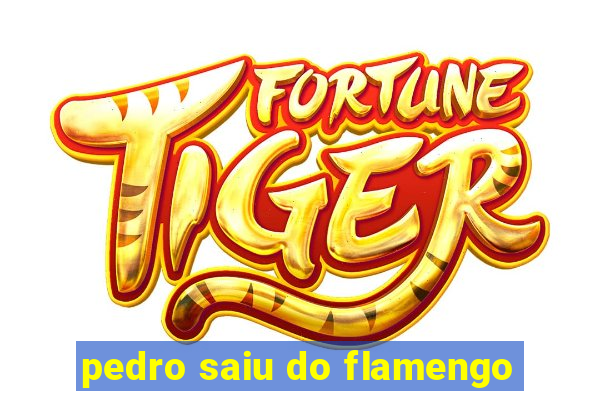 pedro saiu do flamengo