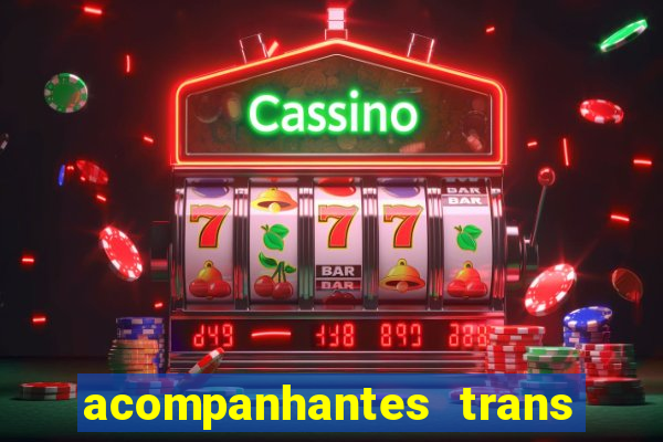 acompanhantes trans baixada fluminense