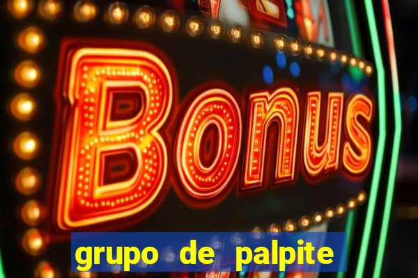 grupo de palpite de futebol telegram