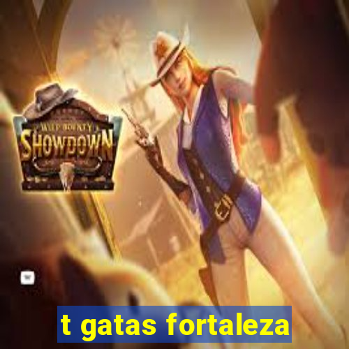 t gatas fortaleza