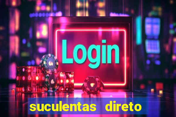 suculentas direto do produtor rs