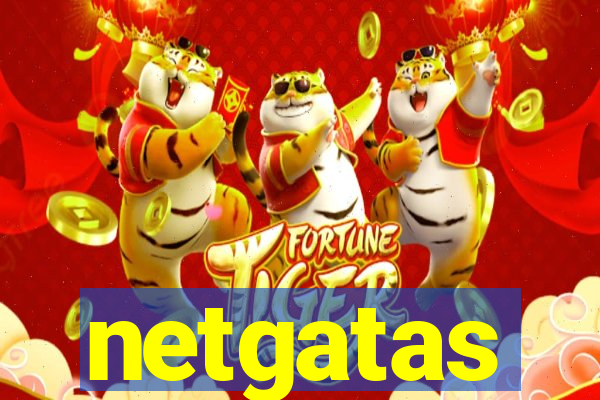 netgatas