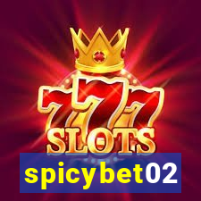 spicybet02