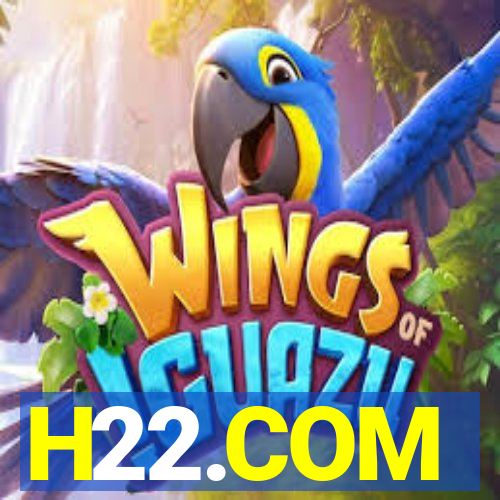 H22.COM
